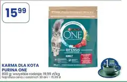 Stokrotka Market Karma dla kota Purina One oferta