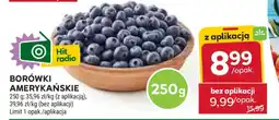 Stokrotka Market Borówki amerykańskie oferta