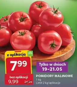Stokrotka Express Pomidory malinowe oferta