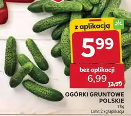 Stokrotka Market Ogórki gruntowe polskie oferta