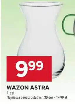 Stokrotka Market Wazon Astra oferta