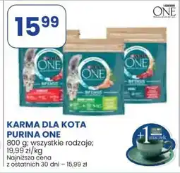 Stokrotka Market Karma dla kota Purina One oferta