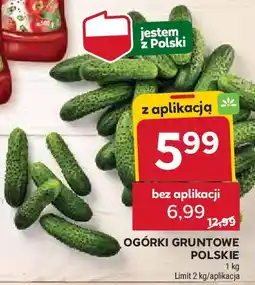 Stokrotka Ogórek gruntowy polska oferta