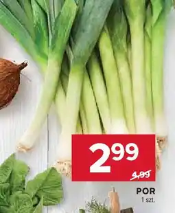 Stokrotka Por oferta