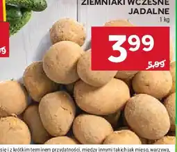 Stokrotka Ziemniaki wczesne oferta