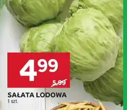 Stokrotka Sałata lodowa oferta