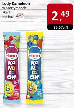Market Point Lody Kameleon 70ml Hortex oferta