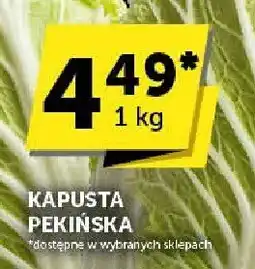 Euro Sklep Kapusta pekińska Euro Sklep oferta