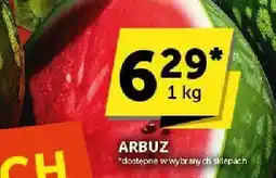 Groszek Arbuz Groszek oferta