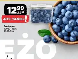 Netto Borówka amerykańska oferta
