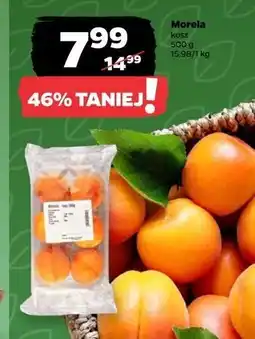 Netto Morele oferta
