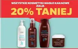 Netto Mleczko do ciała Ziaja Masło Kakaowe oferta