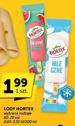 Groszek Lody Hortex 60-70ml oferta