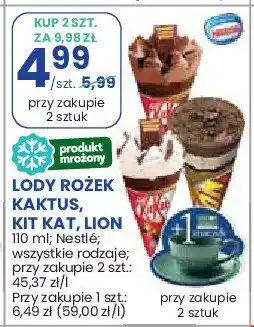 Stokrotka Rożek Lion oferta