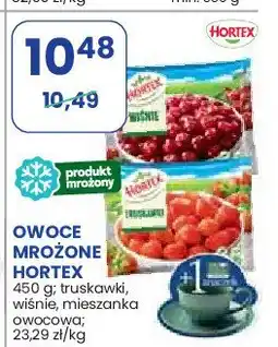Stokrotka Mieszanka owocowa Hortex oferta