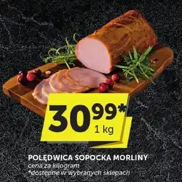 Groszek Polędwica sopocka Morliny oferta