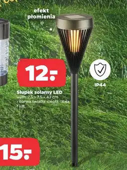 Netto Słupek led Barwa oferta
