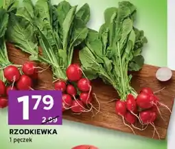 Stokrotka Express Rzodkiewka oferta