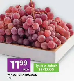 Stokrotka Express Winogrona różowe oferta