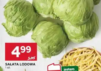Stokrotka Market Sałata lodowa oferta