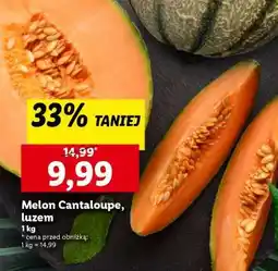 Lidl Melon Cantaloupe, luzem oferta