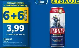 Lidl Harnaś oferta