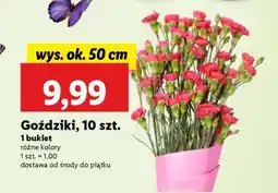 Lidl Goździki, 10 szt oferta