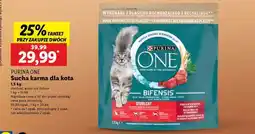 Lidl PURINA ONE Sucha karma dla kota oferta