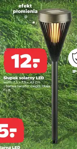 Netto Słupek solarny LED oferta
