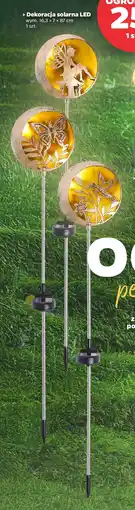 Netto Dekoracja solarna LED oferta