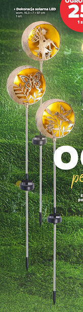 Netto Dekoracja solarna LED oferta
