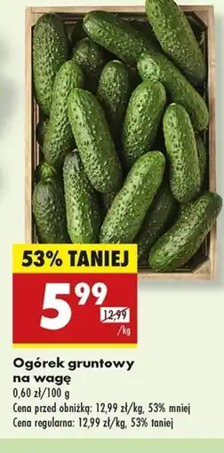 Biedronka Ogórek oferta