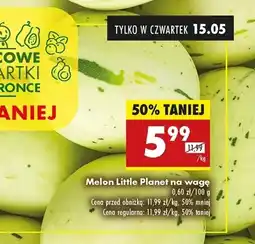 Biedronka Melon oferta