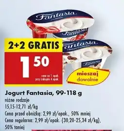 Biedronka Jogurt Fantasia oferta