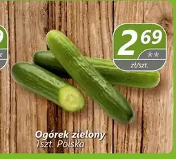 Społem Ogórek oferta