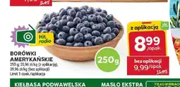 Stokrotka Borówki amerykańskie oferta