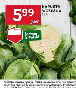 Stokrotka Kapusta wczesna oferta