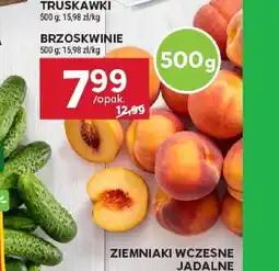 Stokrotka Brzoskwinie oferta