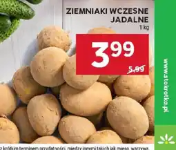 Stokrotka Ziemniaki wczesne jadalne oferta