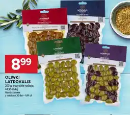 Stokrotka Oliwki Latrovalis oferta