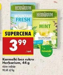 Biedronka Karmelki apple mint Herbarium oferta