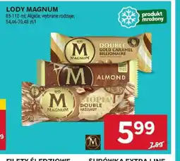 Stokrotka Lody Magnum oferta