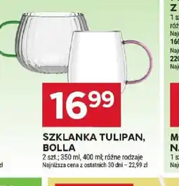 Stokrotka Szklanka tulipan, Bolla oferta