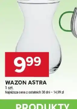 Stokrotka Wazon Astra oferta