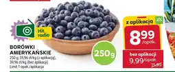 Stokrotka Borówki amerykańskie Limit oferta
