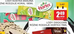 Bingo Lody owocowe Hortex oferta