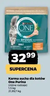 Netto Karma dla kota adult kurczak i pełne ziarna Purina One oferta