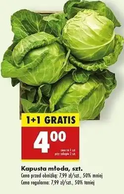 Biedronka Kapusta młoda oferta