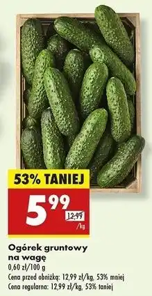 Biedronka Ogórek gruntowy oferta