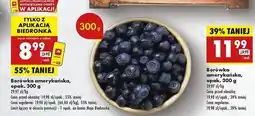 Biedronka Borówki amerykańskie oferta